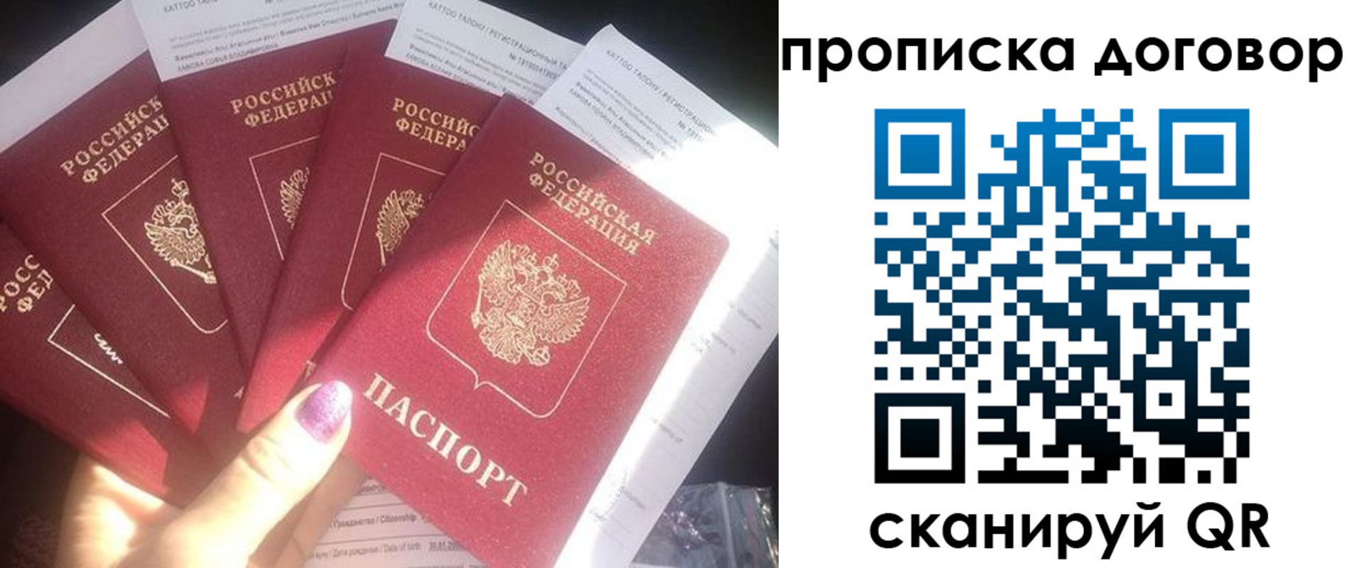 где прописаться в Ельне