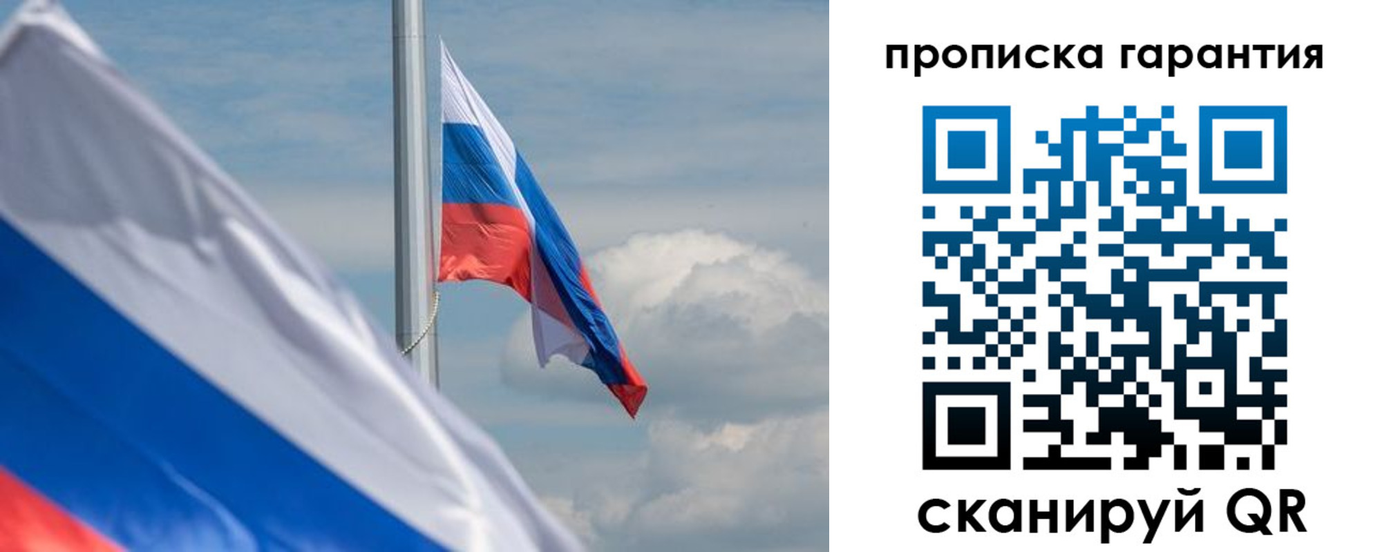 прописка поиск в Ельне